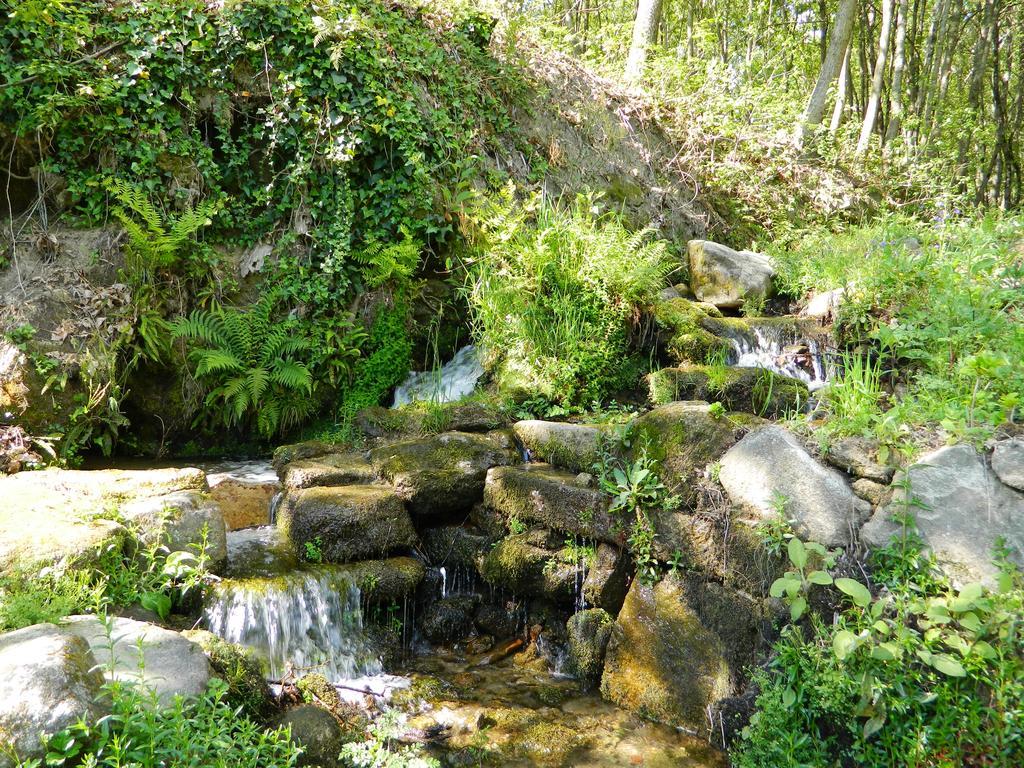 ארקוס דה ואלדבז Quinta Lamosa Agroturismo מראה חיצוני תמונה